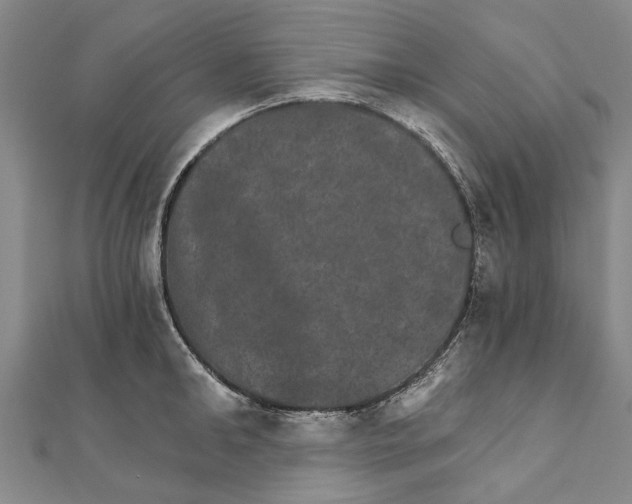 X0000111800902200908201151