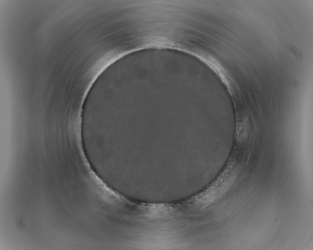 X0000111800903200908201150