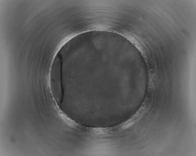 X0000111800904200908201150