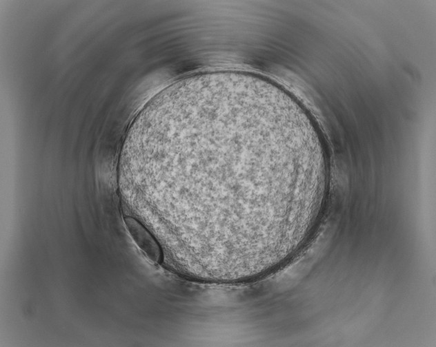 X0000111800905200908201150