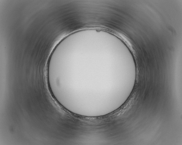 X0000111800907200908201150