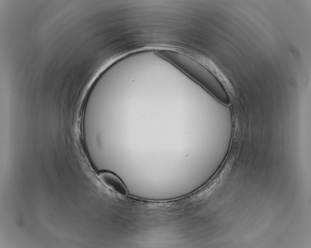 X0000111800908200908201150