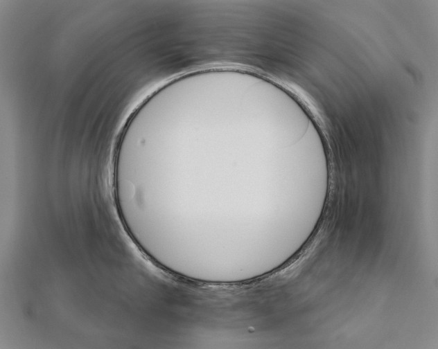 X0000111800910200908201150