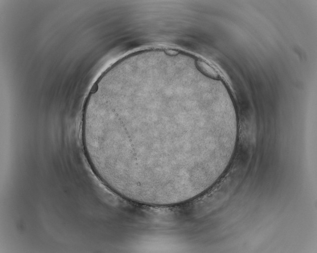 X0000111800911200908201150