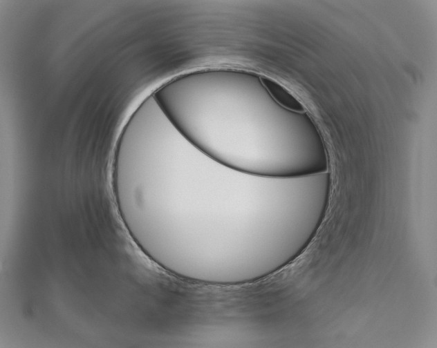 X0000111800912200908201150