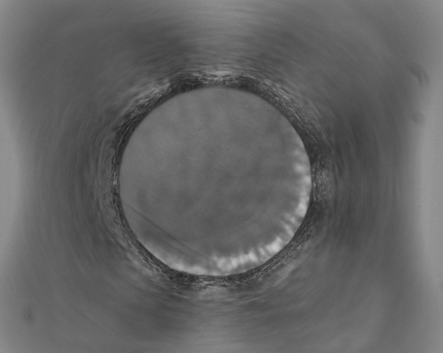 X0000111800913200908201150