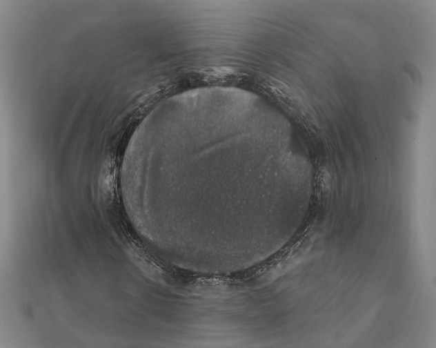 X0000111800914200908201150