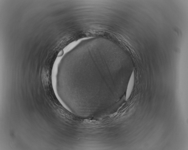 X0000111800915200908201150