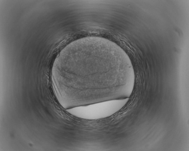 X0000111800916200908201150