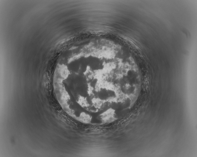 X0000111800917200908201150