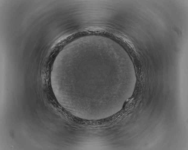 X0000111800920200908201150