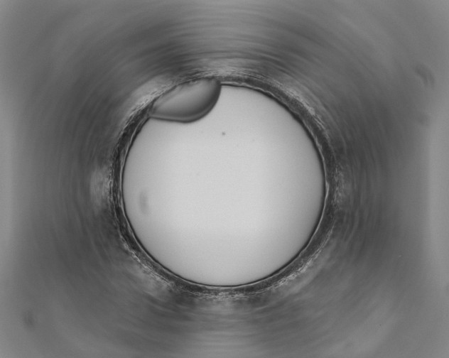 X0000111800922200908201150