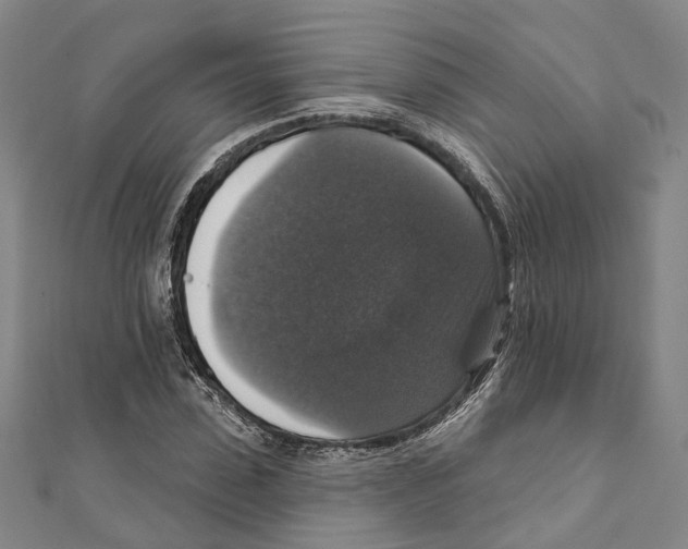 X0000111800923200908201150