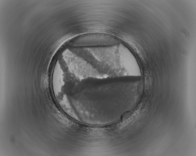 X0000111800924200908201150