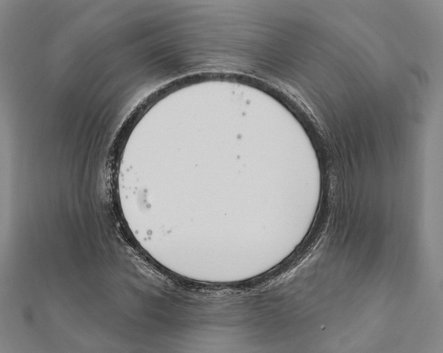 X0000111800926200908201150