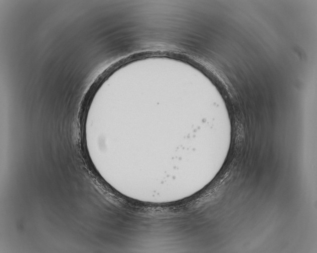 X0000111800927200908201150