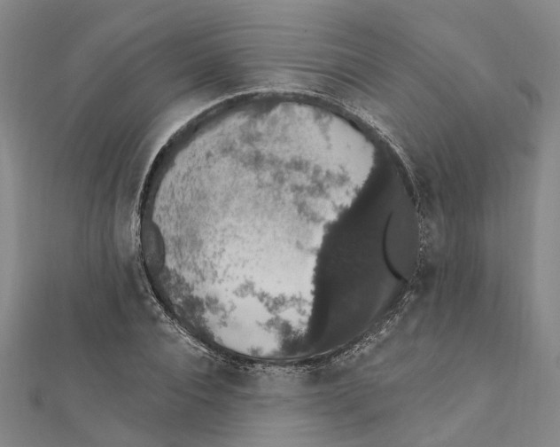 X0000111800928200908201150