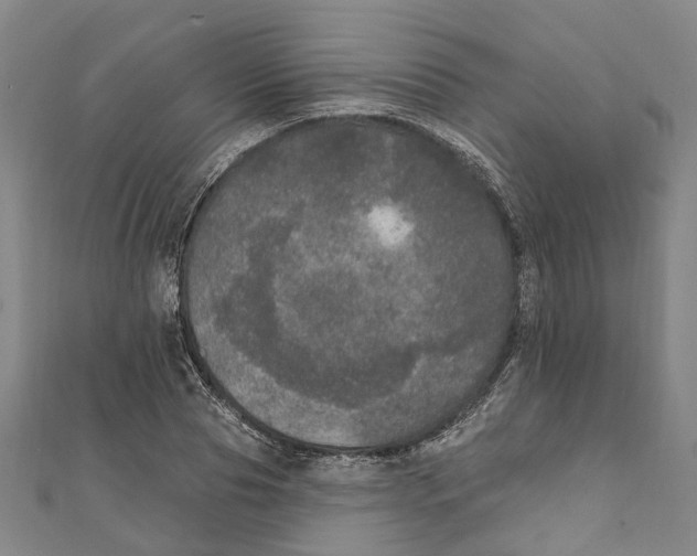 X0000111800929200908201150