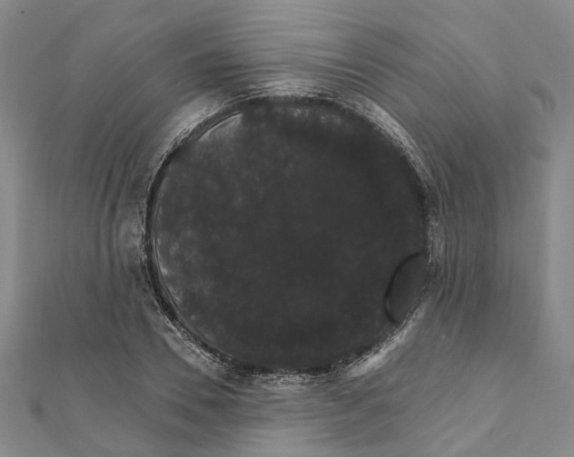 X0000111800930200908201150