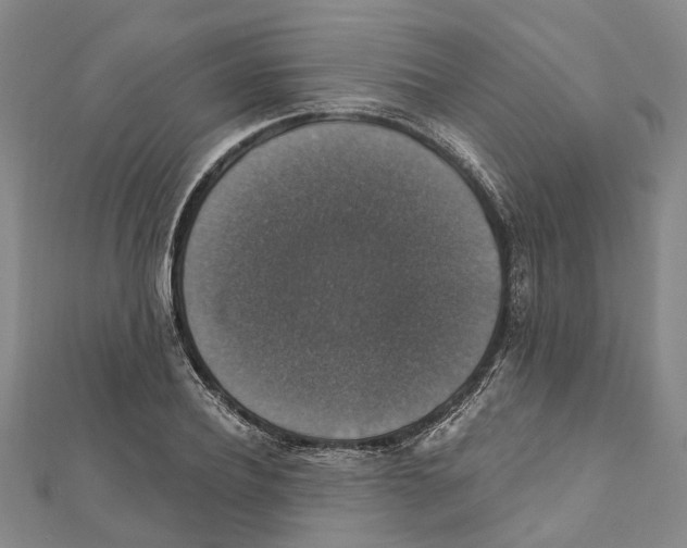 X0000111800932200908201150