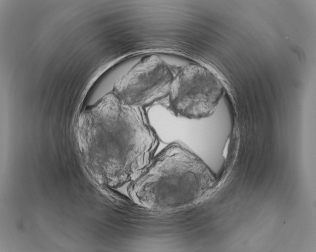 X0000111800933200908201150