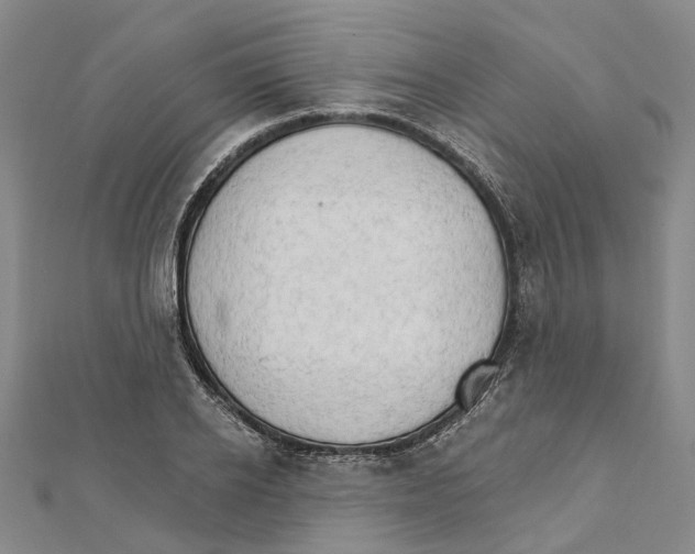 X0000111800934200908201150