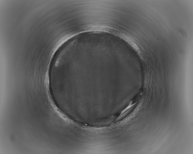 X0000111800936200908201150
