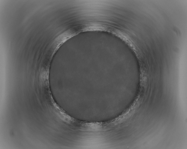 X0000111800937200908201150