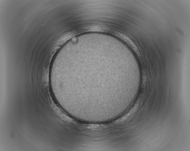 X0000111800938200908201150