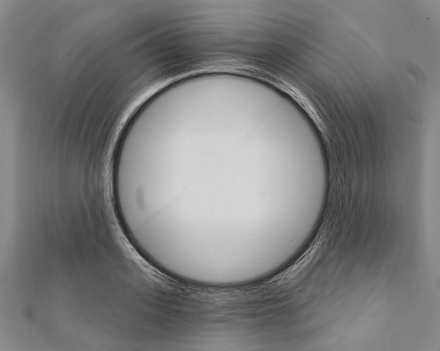 X0000111800939200908201150