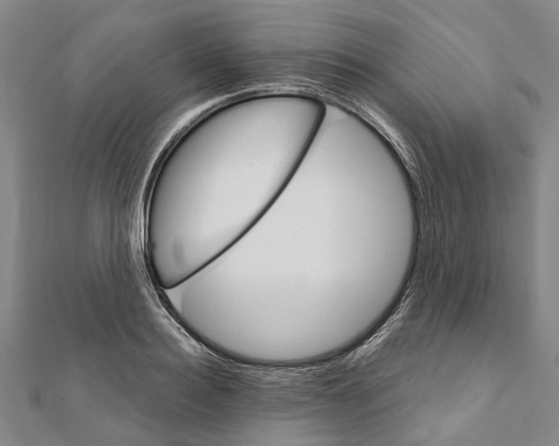 X0000111800940200908201150