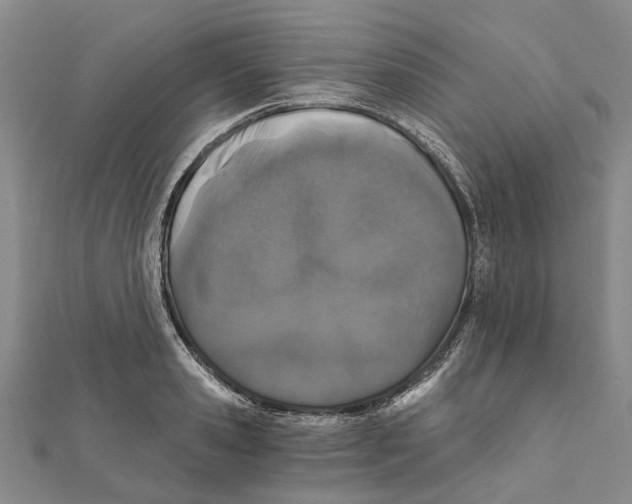 X0000111800941200908201150