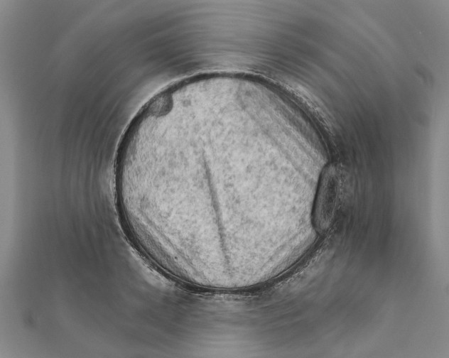 X0000111800942200908201150