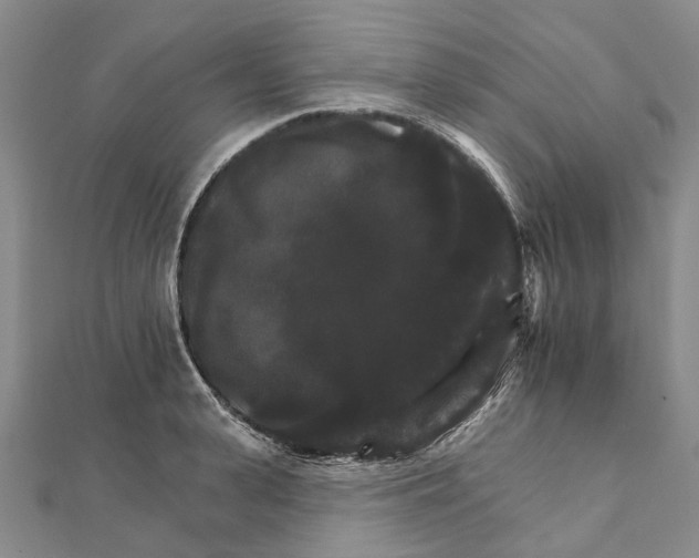 X0000111800943200908201150