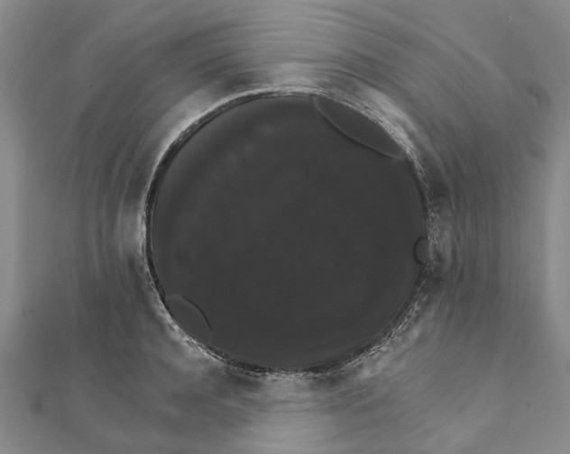 X0000111800944200908201150