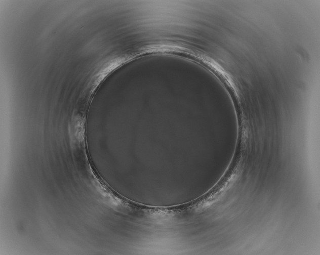 X0000111800945200908201150