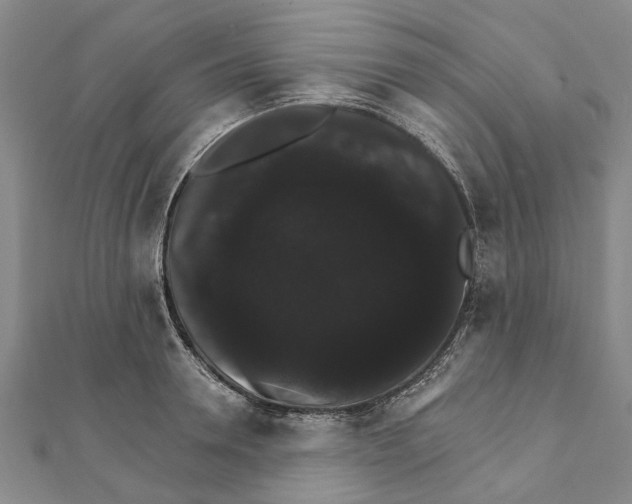 X0000111800946200908201150