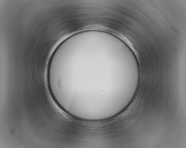 X0000111800947200908201150