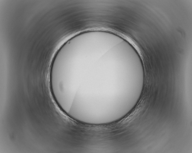 X0000111800951200908201150