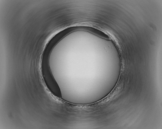 X0000111800952200908201150