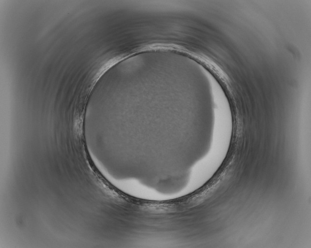 X0000111800953200908201150