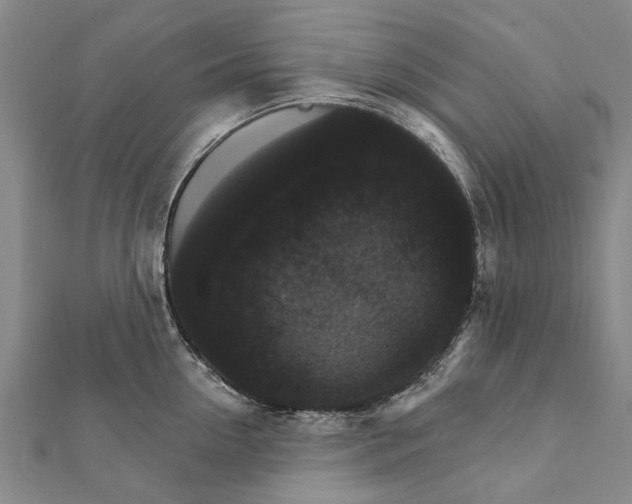 X0000111800954200908201150