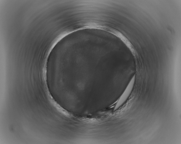 X0000111800955200908201150