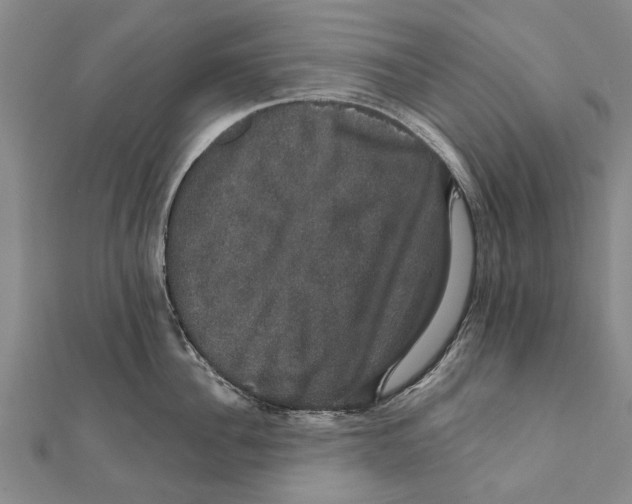 X0000111800956200908201150