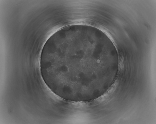 X0000111800957200908201150