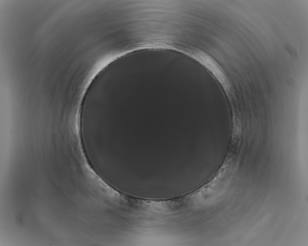 X0000111800958200908201150