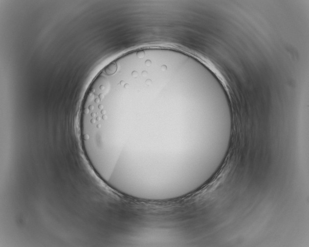 X0000111800959200908201150