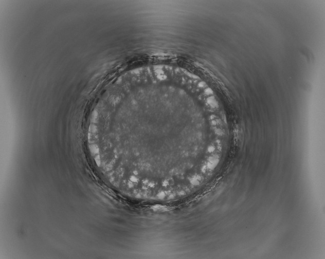 X0000111800961200908201150