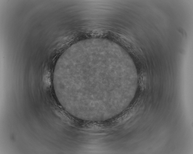 X0000111800962200908201150