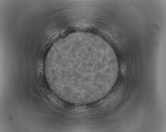 X0000111800964200908201150